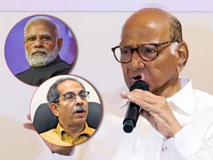 Loksabha Election - Uddhav Thackeray to rejoin BJP after results?; Sharad Pawar big statement | निकालानंतर उद्धव ठाकरे पुन्हा भाजपासोबत जातील?; शरद पवारांचं मोठं विधान