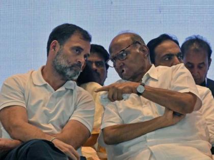 Election Special Article: Rahul Gandhi, Sharad Pawar's visit will benefit Maviya to what extent? | निवडणूक विशेष लेख: राहुल गांधी, शरद पवारांच्या दौऱ्याचा मविआला लाभ कितपत?