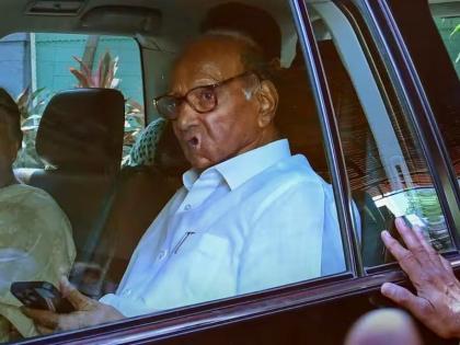 Most people have said in the survey that Sharad Pawar should withdraw his decision to resign from the post of party president | Sharad Pawar: शरद पवारांनी राजीनामा देण्याचा निर्णय मागे घ्यावा का?; लोक काय म्हणताय, पाहा सर्व्हे