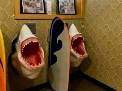 Harsh Goenka shares unique funny photo shark open mouth in toilet terrifies people hilarious comments | Viral Photo: पाहावं ते नवलच! टॉयलेटमध्ये दिसला शार्कचा जबडा, फोटोवर धमाल कमेंट्सचा धुरळा