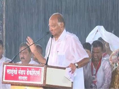 Sharad Pawar's fighters talk all over the state! | राज्यभर चर्चा शरद पवार यांच्या लढवय्येपणाचीच !