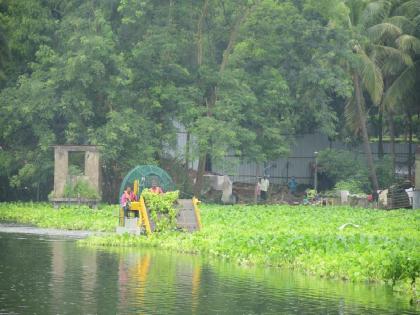 Accelerating the work of water leaf removal from Ambazari lake | अंबाझरी तलावातून जलपर्णी काढण्याच्या कामाला गती