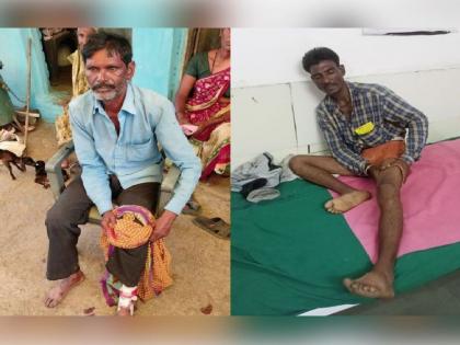 Bully of the forest guard, brutal beating of the cowherds in dahegaon area | वनरक्षकाची दादागिरी, गुराख्यांना जबर मारहाण; उठबशा काढून काेंबडा करायला लावला