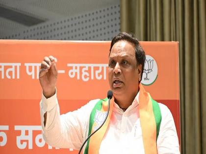 मुंबईचा महापौर मराठी माणूस करणार का?; आशिष शेलारांचं उत्तर व्हायरल, "भाजपाचा महापौर हा..."