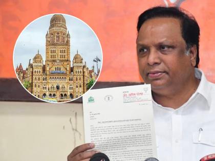 SIT probe corruption exposed in cag report mumbai municipal corporation bmc work tenders bjp ashish shelar demands savarkar yatra | "कँगच्या अहवालात उघड झालेल्या भ्रष्टाचाराची एसआयटीमार्फत चौकशी करा"