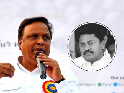 BJP Mumbai Chief Ashish Shelar brutally criticize Congress Maharashtra Chief Nana Patole over Ajay Ashar Issue | Ashish Shelar vs Nana Patole: "काँग्रेसचे नाना पटोले डोक्यावर पडलेत का? असले प्रश्न विचाराल तर तुमचीच गोची होईल"