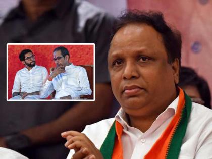 Ashish Shelar slams Uddhav Thackeray Aaditya Thackeray over Chief Minister face in Mahavikas Aaghadi ahead of Maharashtra Assembly Election 2024 | "बाप-बेटे हल्ली दारोदारी फिरतात, दारावर टक-टक करुन..."; आशिष शेलारांचे ठाकरे पिता-पुत्रांवर टीका