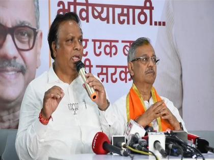 Loksabha Election - Why is Congress using the same language as Pakistan?; BJP leader Ashish Shelar question on vijay vadettiwar | जी भाषा पाकिस्तान करतेय तीच भाषा काँग्रेस का करतेय?; BJP नेते आशिष शेलारांचा सवाल