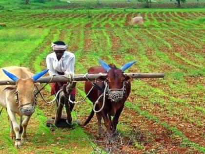 BJP's threat to agriculture business in the state: Shankarna Dhondge | राज्यातील शेती व्यवसायाला भाजप सरकारकडून धोका : शंकरअण्णा धोंडगे