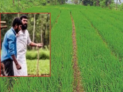 Dispute between brothers as soon as cultivation of the field begins 147 crimes registered in Kolhapur district in the last month | शेताच्या फूटभर जागेसाठी भाऊबंदकीचा 'बांध' फुटला; गेल्या महिनाभरात कोल्हापूर जिल्ह्यात 'किती' गुन्हे दाखल..वाचा Dispute between brothers as soon as cultivation of the field begins 147 crimes registered in Kolhapur district in the last month | शेताच्या फूटभर जागेसाठी भाऊबंदकीचा 'बांध' फुटला; गेल्या महिनाभरात कोल्हापूर जिल्ह्यात 'किती' गुन्हे दाखल..वाचा