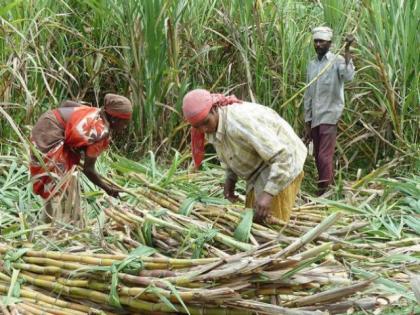 Lessons of farming by using tractors for women in Mangaon | मनेगाव येथे महिलांना ट्रॅक्टरच्या सहाय्याने शेत मशागतीचे धडे