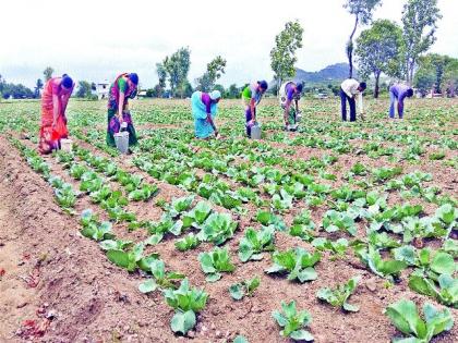 Waiting for a strong rain | दमदार पावसाची प्रतीक्षा