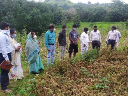 Massive crop damage due to heavy rains at Ner and Nagaon | नेर व नगाव येथे अतिवृष्टीमुळे पिकांचे मोठ्या प्रमाणावर नुकसान