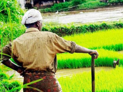 26,000 crores of agriculture cut by the center, provisions reduced; Agriculture will be affected | ‘शेती’च्या २६ हजार कोटींना केंद्राची कात्री, तरतुदी केल्या कमी; शेतीवर परिणाम होणार