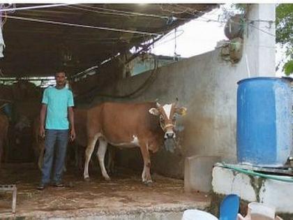 economic prosperity derive from milk production, Success story of a smallholder farmer from dhop | दूध उत्पादनातून साधली आर्थिक समृद्धी; धोप येथील अल्पभूधारक शेतकऱ्याची यशोगाथा