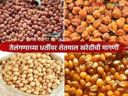 latest news Agriculture News: On the lines of Telangana, purchase farmers' agricultural produce at the village level at a guaranteed price | Agriculture News : तेलंगणाच्या धर्तीवर शेतकऱ्यांचा शेतमाल हमीभावाने गावपातळीवर खरेदी करा latest news Agriculture News: On the lines of Telangana, purchase farmers' agricultural produce at the village level at a guaranteed price | Agriculture News : तेलंगणाच्या धर्तीवर शेतकऱ्यांचा शेतमाल हमीभावाने गावपातळीवर खरेदी करा