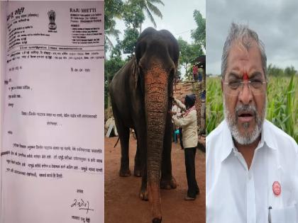 Raju Shetty's letter written to the forest department seven years ago regarding the Mahadevi elephant at Nandani Math goes viral on social media Shetty himself reveals | Kolhapur: महादेवी हत्तीणीबाबत शेट्टींनी वनविभागाला लिहिलेलं 'ते पत्र व्हायरल; राजू शेट्टींनी केला खुलासा Raju Shetty's letter written to the forest department seven years ago regarding the Mahadevi elephant at Nandani Math goes viral on social media Shetty himself reveals | Kolhapur: महादेवी हत्तीणीबाबत शेट्टींनी वनविभागाला लिहिलेलं 'ते पत्र व्हायरल; राजू शेट्टींनी केला खुलासा