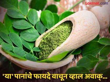 Amazing Health Benefits Of Moringa leaves, know how to consume it | रोज सकाळी 'या' झाडाची १० ते १२ पाने खा, फायदे इतके की विचारही केला नसेल!