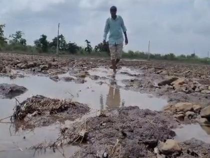 Yavatmal district hit by heavy rain; 17 thousand hectares of crop damage | यवतमाळ जिल्ह्याला अतिवृष्टीचा फटका; १७ हजार हेक्टर पिकांचे नुकसान