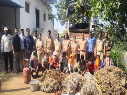 Satara Crime: रानडुक्कराची शिकार, नऊजणांना अटक 