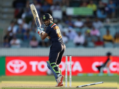 India vs Australia : Mitchell Starc delivers an away swinging yorker to Shikhar Dhawan and sends the off stump flying, Video | India vs Australia : अरेरे... मिचेल स्टार्कच्या गोलंदाजीवर शिखर धवनचा उडाला त्रिफळा, पाहा भन्नाट यॉर्कर