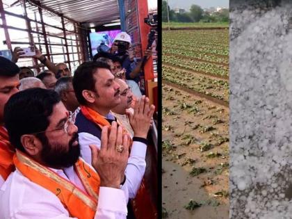 shiv sena thackeray group slams shinde and thackeray govt over farmer damage due to unseasonal rain | Maharashtra Politics: “शेतकऱ्यांना कोणी वाली उरला आहे काय?” ठाकरे गटाचा शिंदे-फडणवीस सरकारला सवाल