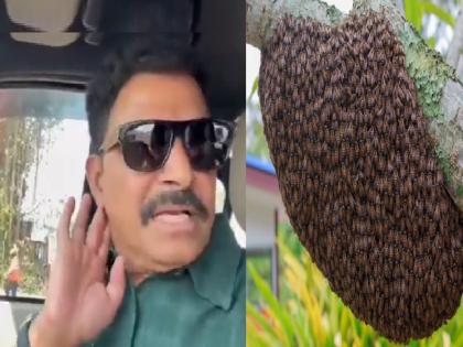 Not the bees on us We attacked them says actors Sayaji Shinde | मधमाशांनी आमच्यावर नव्हे आम्ही त्यांच्यावर हल्ला केलाय : सयाजी शिंदे