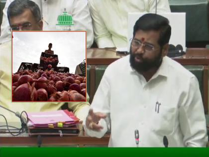 Big news for onion farmers budget session! 300 rupees per quintal will be given as subsidy by state government, announcement by Eknath Shinde | कांदा उत्पादक शेतकऱ्यांसाठी मोठी बातमी! प्रती क्विंटल ३०० रुपये सानुग्रह अनुदान देणार