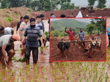 Awareness of hardship, a zealous CM Eknath Shinde enjoying agriculture | Eknath Shinde: photo कष्टाची जाण, शेतीत रमणारे जिगरबाज मुख्यमंत्री एकनाथ शिंदे