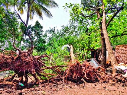 Home loss due to storm surge in Shirasagaa | शिरसगावला वादळी वाऱ्यामुळे घरांचे नुकसान