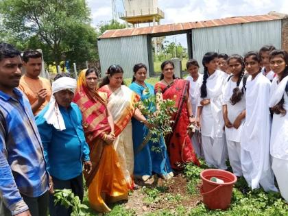  A branch; One hundred and one trees plantation | एक शाखा; एकशे एक वृक्षाची लागवड  