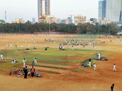 Red soil is becoming the problem of Shivaji Park, the municipality will appoint expert consultants | लाला माती ठरतेय शिवाजी पार्काची समस्या, पालिका करणार तज्ज्ञ सल्ल्लागारांची नियुक्ती