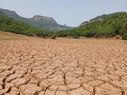 Water level in Koyna Dam Shivsagar reservoir drops, Vasota trekkers begin to suffer | कोयना धरणाच्या शिवसागर जलाशयातील पाणीपातळी घटली, वासोटा ट्रेकर्सची होऊ लागली दमछाक