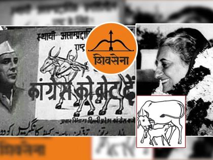 shivsena party symbol conflict Indira Gandhi's bull pair cow calf symbol also reached | धनुष्यबाणच काय; इंदिरा गांधींचे बैलजोडी, गाय वासरू चिन्हही गाेठवले होते; जाणून घ्या इतिहास