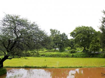 'Shravan Maasi Harsh Mansi | ‘श्रावण मासी हर्ष मानसी, हिरवळ दाटे चोहीकडे..’