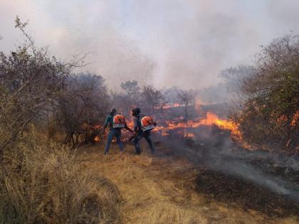 Mountain fire in Kolgaon, Chikhali Shivara, major damage to forest resources | कोळगाव, चिखली शिवारातील डोंगरास आग, वनसंपत्तीचे मोठे नुकसान