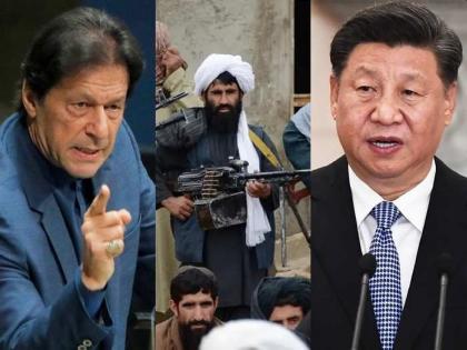 Afghanistan Taliban Crisis: अफगाणिस्तानात तालिबानची सत्ता आल्यानं चीन अन् पाकसाठी शुभ संकेत? भारताला धोका