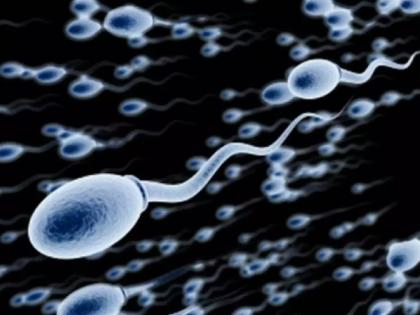 DNA of sperm is changing due to work pressure; Not women, but men responsible for abortion; Information from the report | कामाच्या प्रेशरमुळे बदलतोय शुक्राणूचा डीएनए; गर्भपाताला महिला नव्हे, तर पुरुषही जबाबदार; अहवालातून माहिती समोर