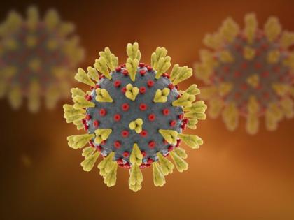 New record of corona disease in Gadchiroli district, 615 new patients in 24 hours | गडचिरोली जिल्ह्यात कोरोनाबाधितांचा नवीन विक्रम, २४ तासांत ६१५ नवीन रुग्ण New record of corona disease in Gadchiroli district, 615 new patients in 24 hours | गडचिरोली जिल्ह्यात कोरोनाबाधितांचा नवीन विक्रम, २४ तासांत ६१५ नवीन रुग्ण