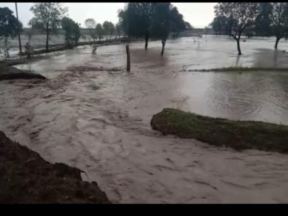 Heavy rain in Sillod, Jalna, Mahur; in Hingoli all over | सिल्लोड, जालना, माहुरात मुसळधार; हिंगोलीत सर्वदूर