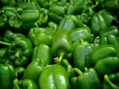 Do you know the health benefits of capsicum | सिमला मिरचीचे आरोग्यदायी फायदे माहीत आहेत का?