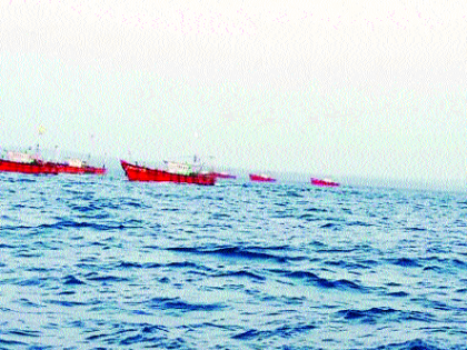 Fisheries threatened by encroachment of boats | नौकांच्या अतिक्रमणाने मत्स्यसंपदा धोक्यात