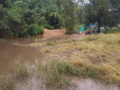 rain like a cloud burst washed away the cut rice in Mangaon Valley Sindhudurg | सिंधुदुर्गातील माणगाव खोऱ्यात ढगफुटीसदृश पाऊस, कापून ठेवलेले भात गेले वाहून