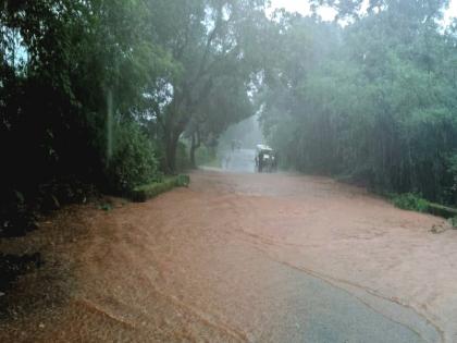 Although Sindhudurg district has received heavy rains the rainfall this year has been less than last year | सिंधुदुर्ग जिल्ह्यात मुसळधार कोसळूनही गतवर्षीच्या सरासरीपेक्षा मागेच, अधून-मधून जोरदार पाऊस Although Sindhudurg district has received heavy rains the rainfall this year has been less than last year | सिंधुदुर्ग जिल्ह्यात मुसळधार कोसळूनही गतवर्षीच्या सरासरीपेक्षा मागेच, अधून-मधून जोरदार पाऊस