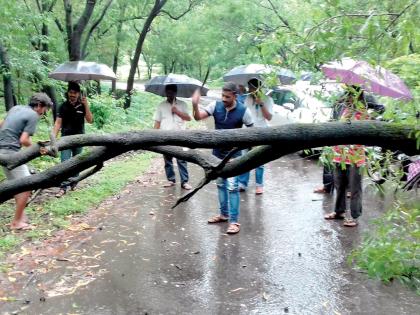 Heavy rains in Vaibhavavadi taluka: Vidyamandir left on half | वैभववाडी तालुक्यात मुसळधार पाऊस : विद्यामंदिर अर्ध्यावर सोडले