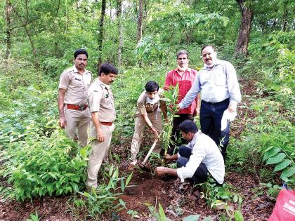 Samadhan Chavan's information about the objective of planting 9 lakh trees in the district | जिल्ह्यात ९ लाख झाडे लावण्याचे उद्दिष्ट, समाधान चव्हाण यांची माहिती