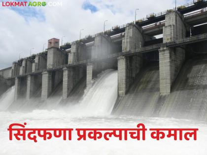 latest news Sindphana Dam: The peak of Sindphana project; 200 acres of agriculture green even in the heat of summer | Sindphana Dam : सिंदफणा प्रकल्पाची कमाल; भर उन्हाळ्यातही २०० एकर शेती हिरवीगार latest news Sindphana Dam: The peak of Sindphana project; 200 acres of agriculture green even in the heat of summer | Sindphana Dam : सिंदफणा प्रकल्पाची कमाल; भर उन्हाळ्यातही २०० एकर शेती हिरवीगार