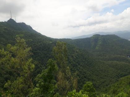 Start for Sinhagad tourism; 450 families in financial difficulties | सिंहगड पर्यटनासाठी सुरु करा; ४५० कुटुंबे आर्थिक अडचणीत 