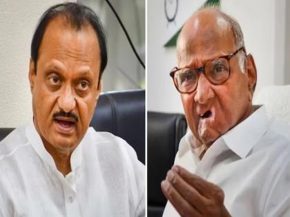 EC grants three more weeks to Sharad Pawar, Ajit factions for replies to notice on NCP's name and official symbol | खरी राष्ट्रवादी कुणाची?; शरद पवार-अजित पवार गटाला निवडणूक आयोगाची नोटीस