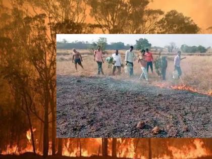 Modern tools saved forest resources; The forest department made a plan to prevent wildfires | आधुनिक साधनांमुळे वनसंपदा वाचली; वणवे रोखण्यासाठी वन विभागाने केली उपाय योजना